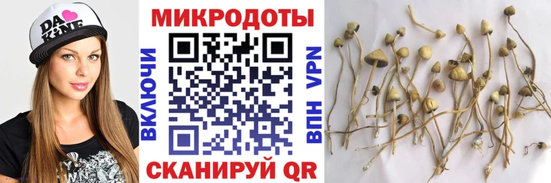 Псилоцибиновые грибы мухоморы  купить наркоту  Змеиногорск 